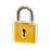 Secure Icon